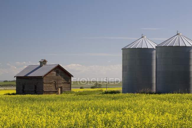 Old Wooden Barn — Stock Photo