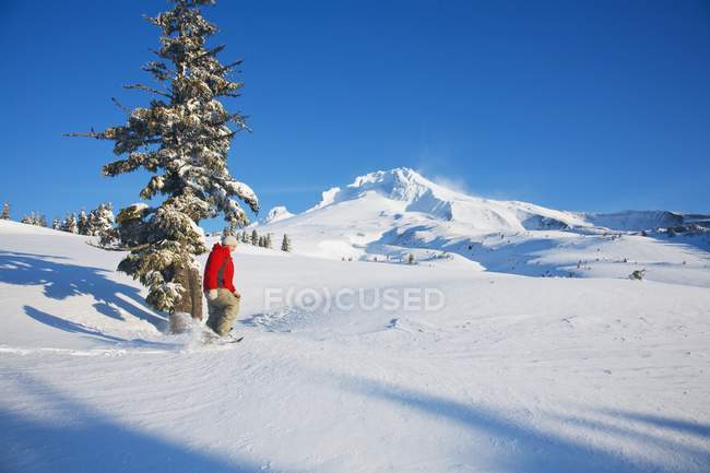Persona raquetas de nieve en las pistas - foto de stock