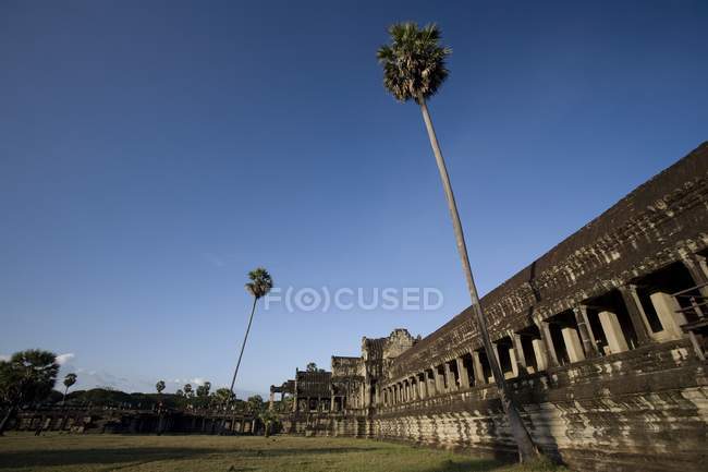 Templo de Angkor Wat - foto de stock