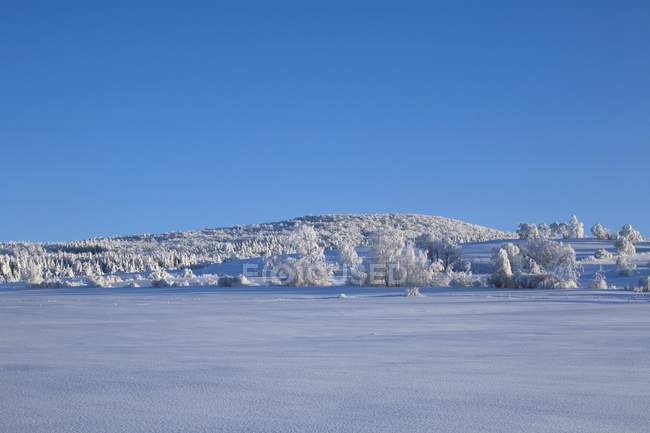 Paesaggio invernale con neve — Foto stock