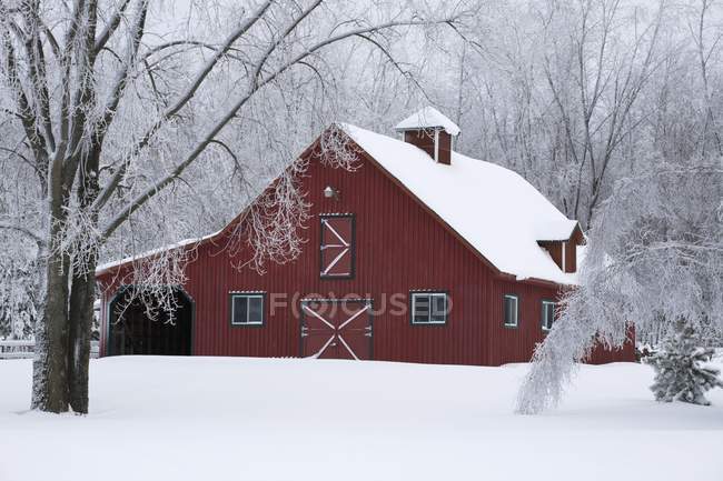 Красный амбар покрыт снегом — стоковое фото
