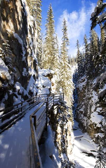 Johnston Canyon, Parque Nacional Banff - foto de stock