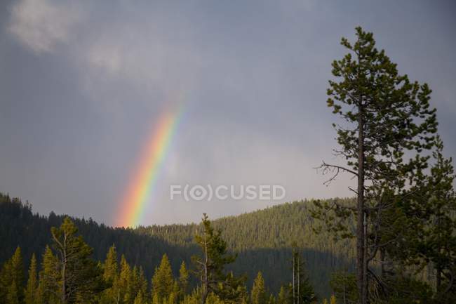 Arco-íris sobre colinas — Fotografia de Stock