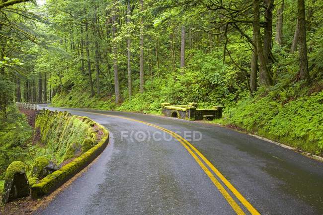Route, gorge du fleuve Columbia — Photo de stock