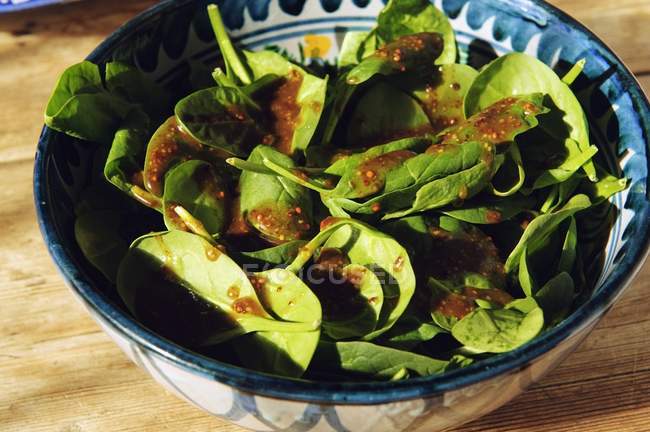 A Spinach Salad; Studio — Stock Photo