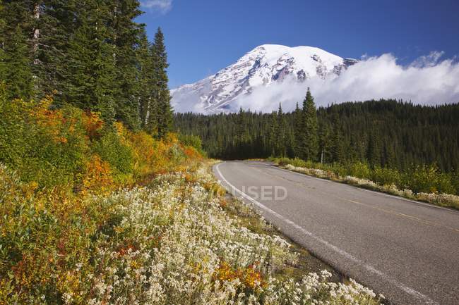 Camino que pasa por Mt. Parque Nacional Rainier - foto de stock