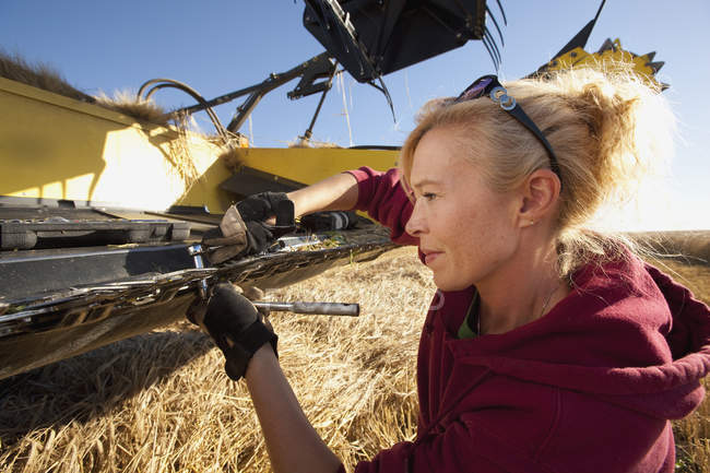 Женщина работает на поле — стоковое фото