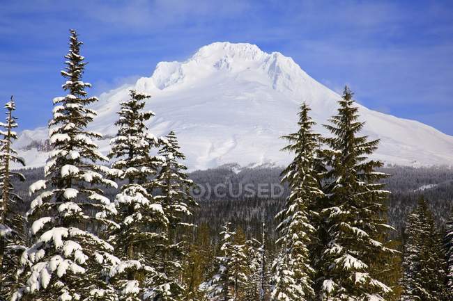 Monte cappuccio coperto di neve — Foto stock