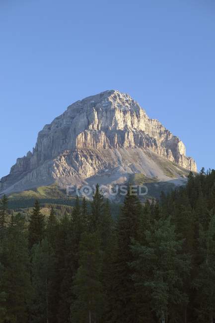 Crowsnest Mountain au lever du soleil — Photo de stock