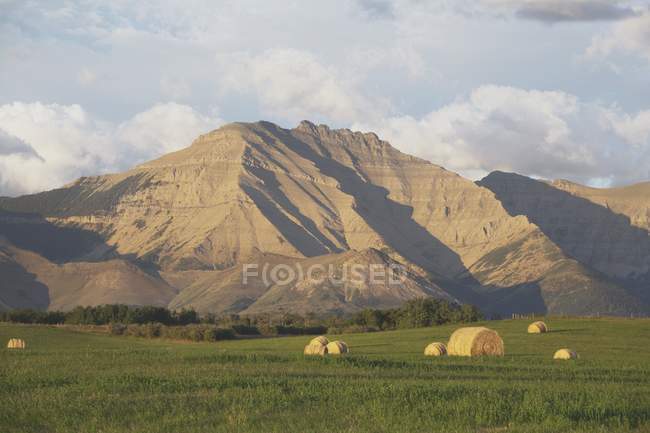 Hay Bales In Field — Stock Photo