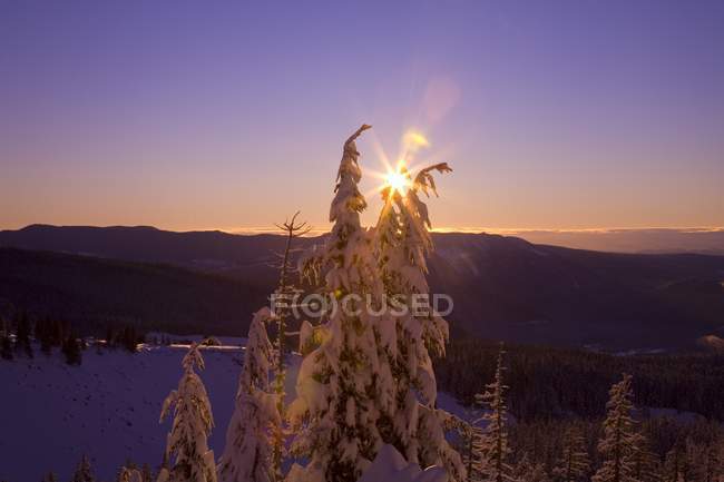 Cascade Mountains, Oregon — Stock Photo