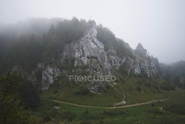 Скалистый скала с зеленой травой — стоковое фото