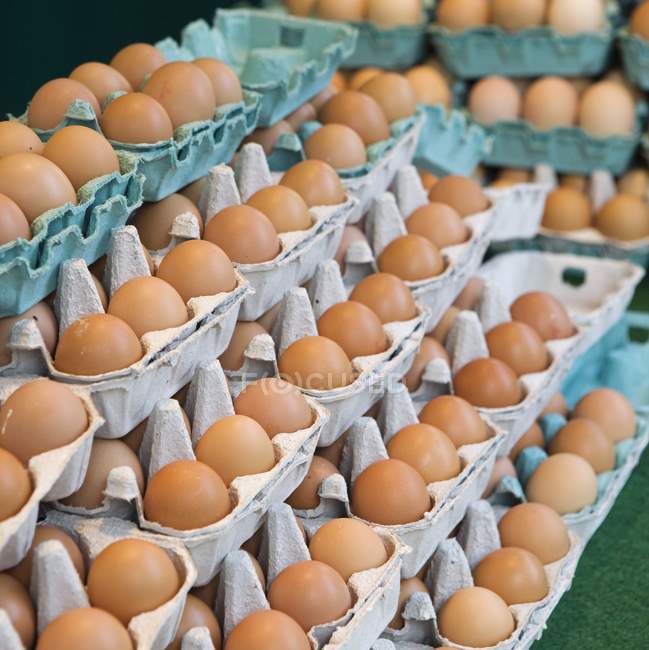 Eier in Kartons ausgestellt — Stockfoto
