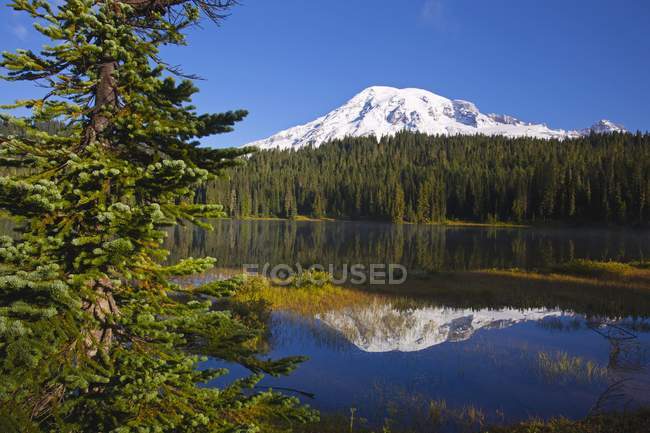 Reflet du mont Rainier dans un lac — Photo de stock