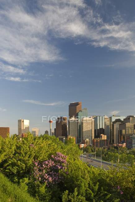 Blick auf die Stadt Calgary — Stockfoto