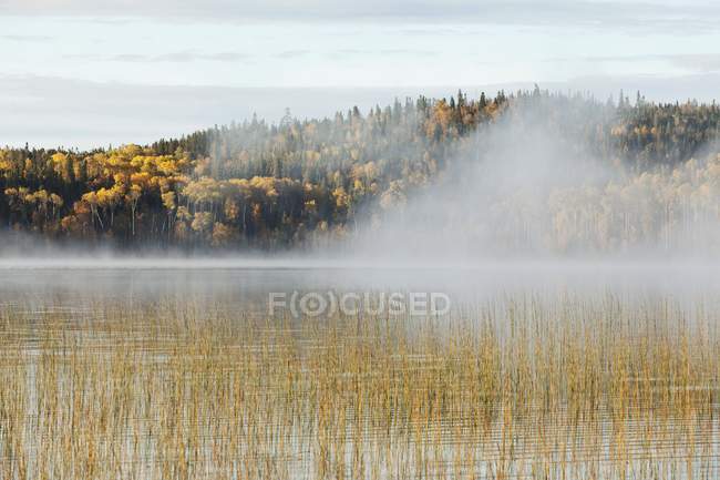 Niebla sobre un lago en otoño - foto de stock