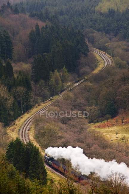 Treno sul paesaggio paesaggistico — Foto stock