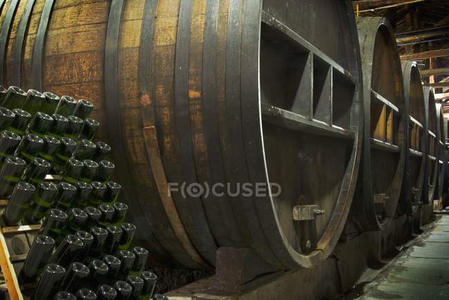 Barris de carvalho e garrafas em Mendoza, Argentina — Fotografia de Stock