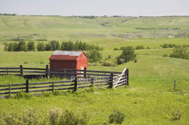 Weideflächen mit roter Hütte — Stockfoto