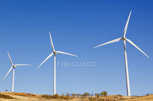 Windräder auf dem Feld — Stockfoto