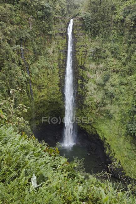 Hawaii, United States Of America — Stock Photo