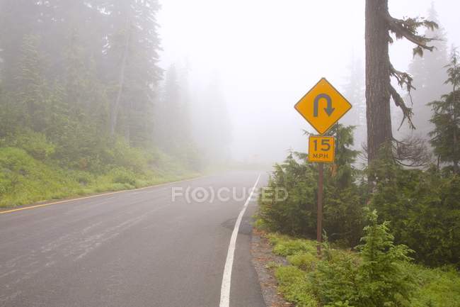 Foggy Road del Parque Nacional Monte Rainier - foto de stock