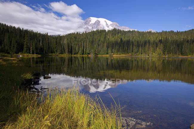 Reflexão do Monte Rainier no Lago — Fotografia de Stock