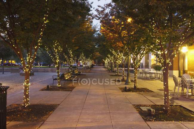 Luci sugli alberi in Jamison Square — Foto stock