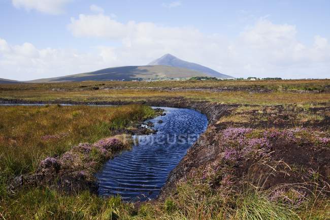 Source d'eau dans un champ herbeux — Photo de stock