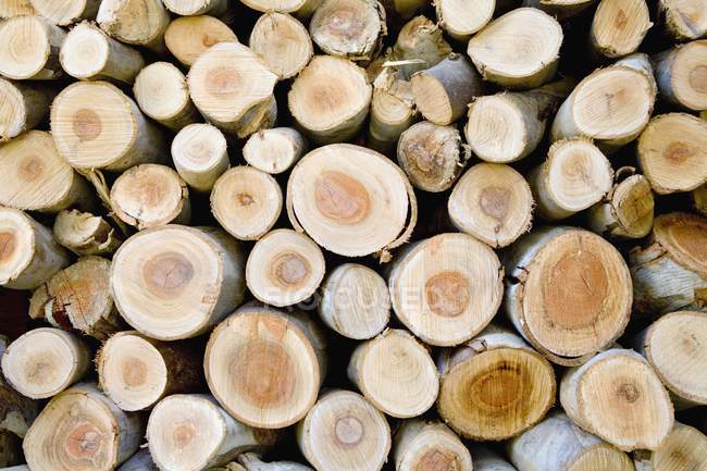 Aerial view of Firewood — Stock Photo