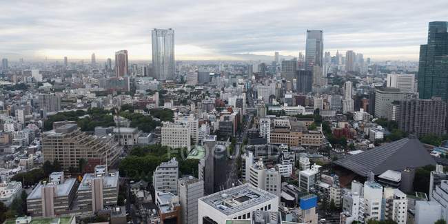 Skyline de Tokyo pendant la journée — Photo de stock