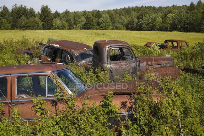 Viejos coches abandonados - foto de stock