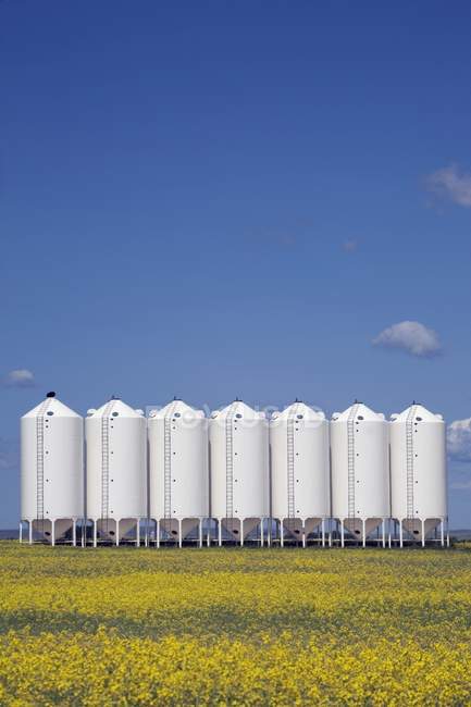 Grain Bins In Field — Stock Photo