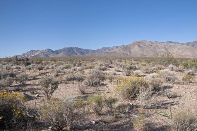Montañas de la reserva nacional del desierto de Mojave - foto de stock