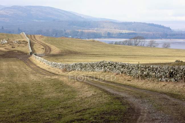 Cerca de pedra ao longo da estrada — Fotografia de Stock