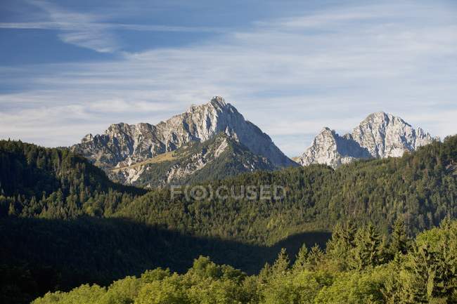 Горные вершины с холмистыми лесами — стоковое фото