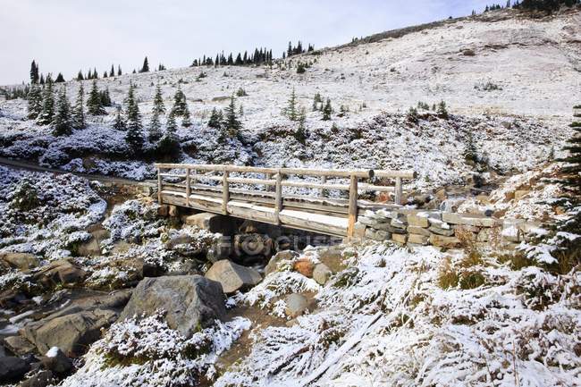 Fresh Snow On Bridge — Stock Photo