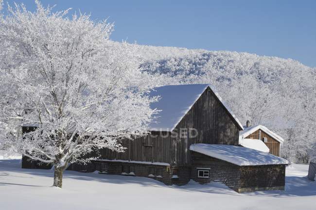 Casa en invierno con árboles - foto de stock