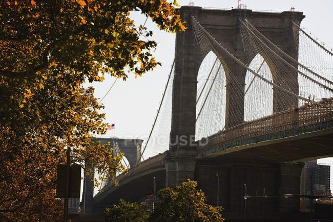 Бруклинский мост осенью — стоковое фото