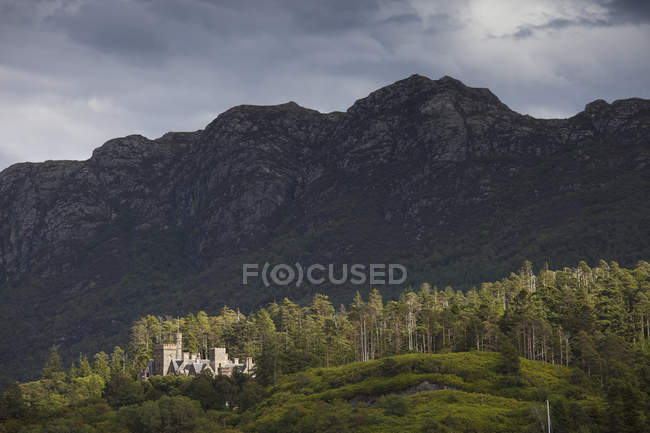 Замок на холме на краю леса — стоковое фото