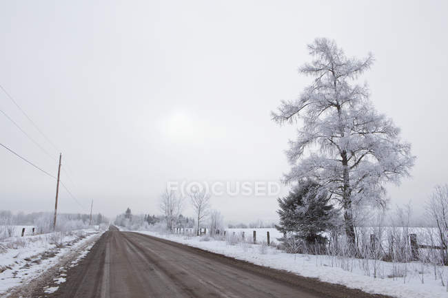 Strada di campagna in inverno — Foto stock