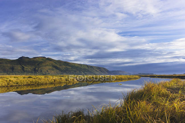 Tidal Slough And Mountain Scenic — Stock Photo