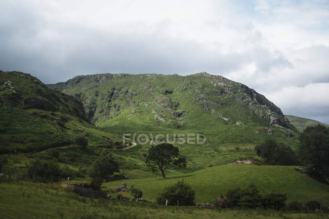 View of great green hill — Stock Photo