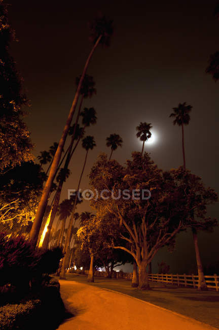 Cena iluminada pela lua no parque das paliçadas — Fotografia de Stock