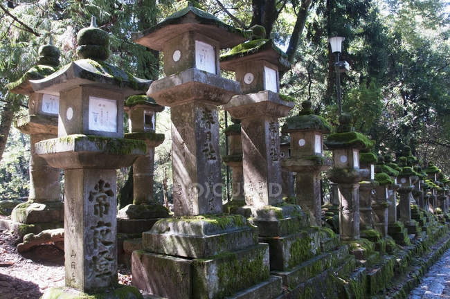 Santuario Kasuga Taisha — Foto stock