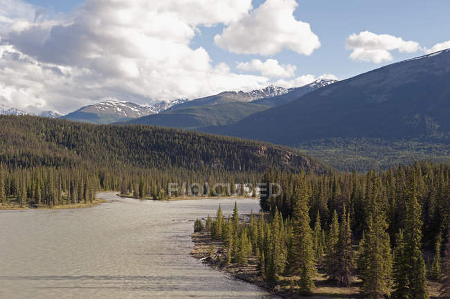 Río que fluye hacia montañas rocosas canadienses - foto de stock
