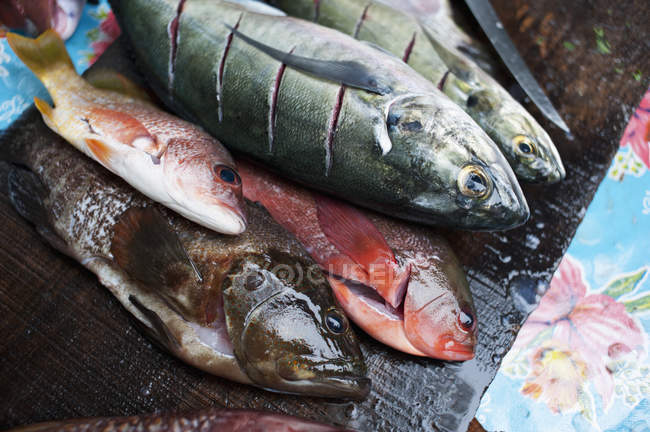 Peixe morto picado — Fotografia de Stock