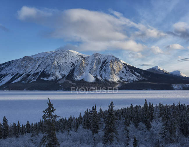 Tagish Lake von der South Klondike Highway aus gesehen — Stockfoto