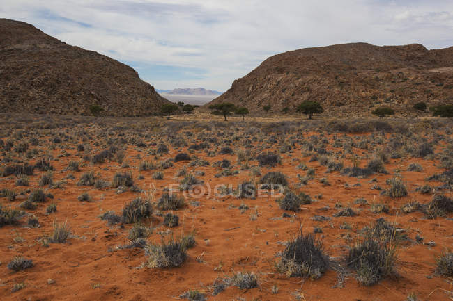 Strada del deserto rosso — Foto stock