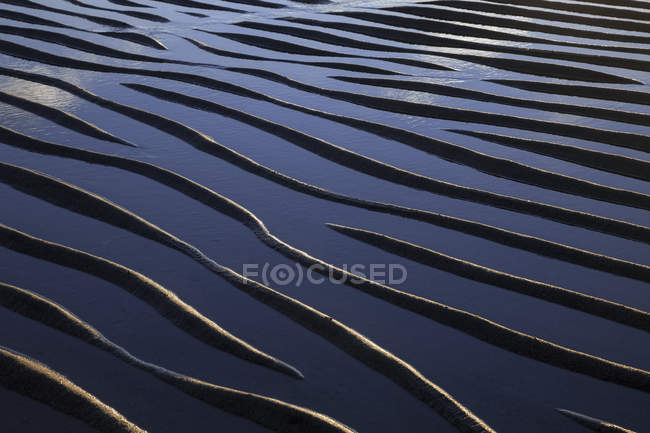 Ripples created by wind — Stock Photo